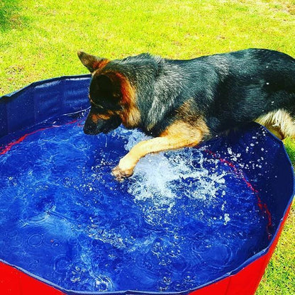 PORTABLE PAW POOL - WikiWii