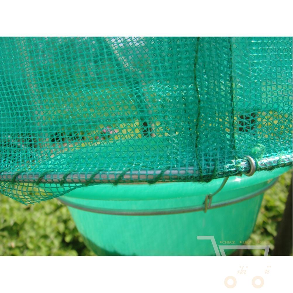 Hanging Flytrap - WikiWii