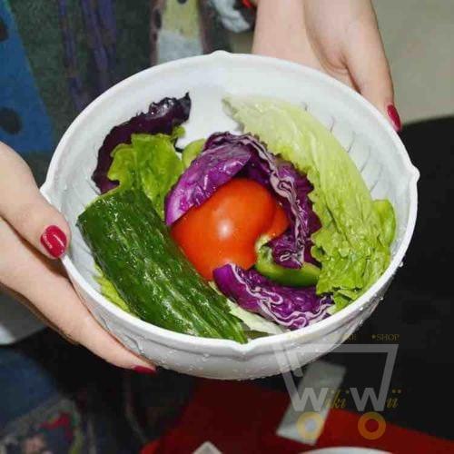 Salad Cutter Bowl - WikiWii