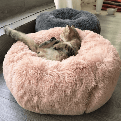 Dog/Cat Comfy Bed - WikiWii