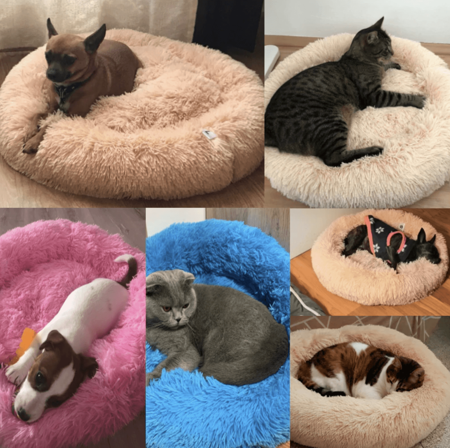 Dog/Cat Comfy Bed - WikiWii