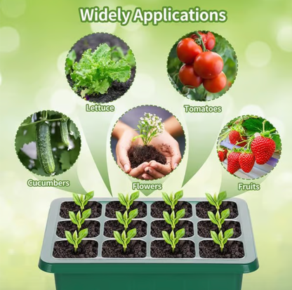 Seed Starter Trays with Grow Light 2025