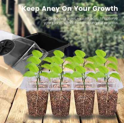 Seed Starter Trays with Grow Light 2025