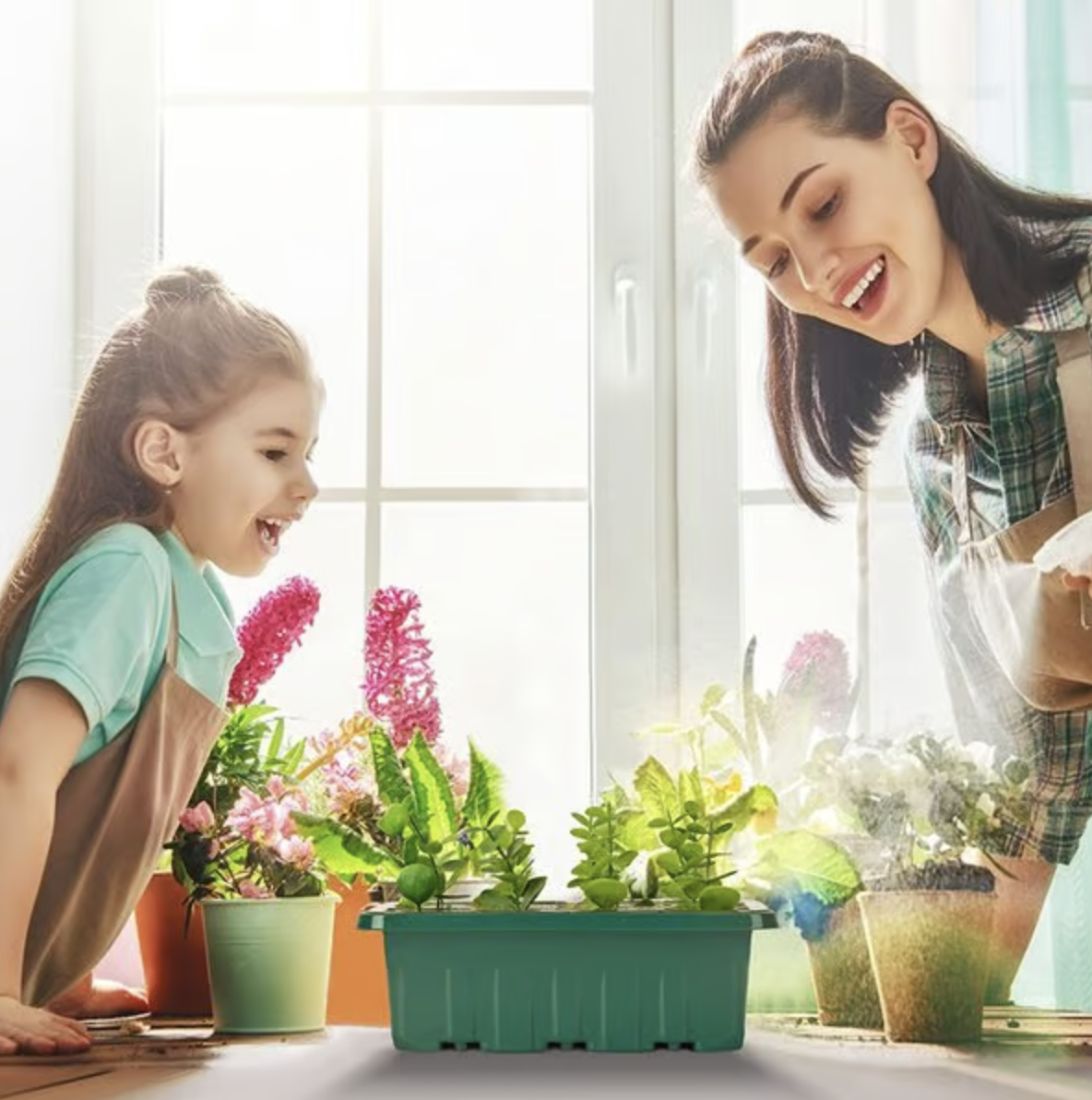 Seed Starter Trays with Grow Light 2025