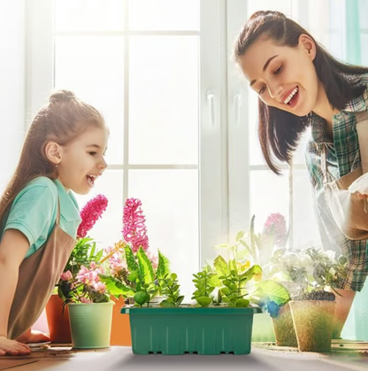 Seed Starter Trays with Grow Light 2025