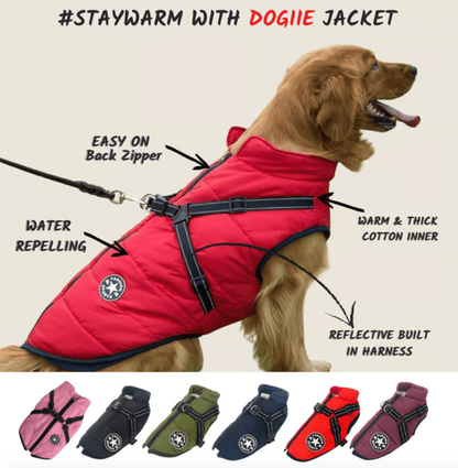 Waterproof Winter Dog Jacket with Built-in Harness