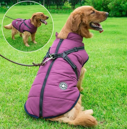 Waterproof Winter Dog Jacket with Built-in Harness