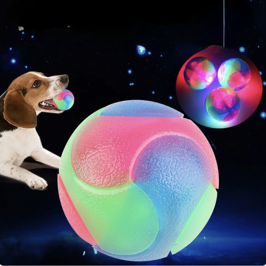 Flashing Ball Dogs Toy