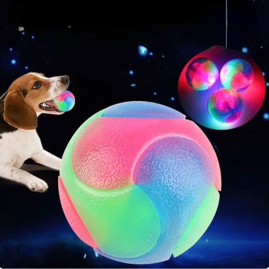 Flashing Ball Dogs Toy