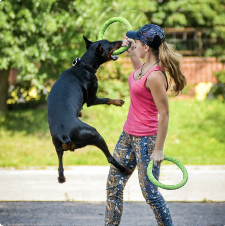 Dog Training Ring