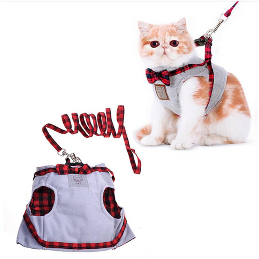 Cat Collar Vest - WikiWii