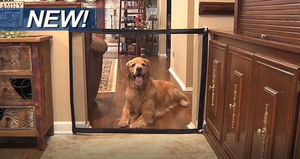 Magic Gate Dog Safe Guard - WikiWii