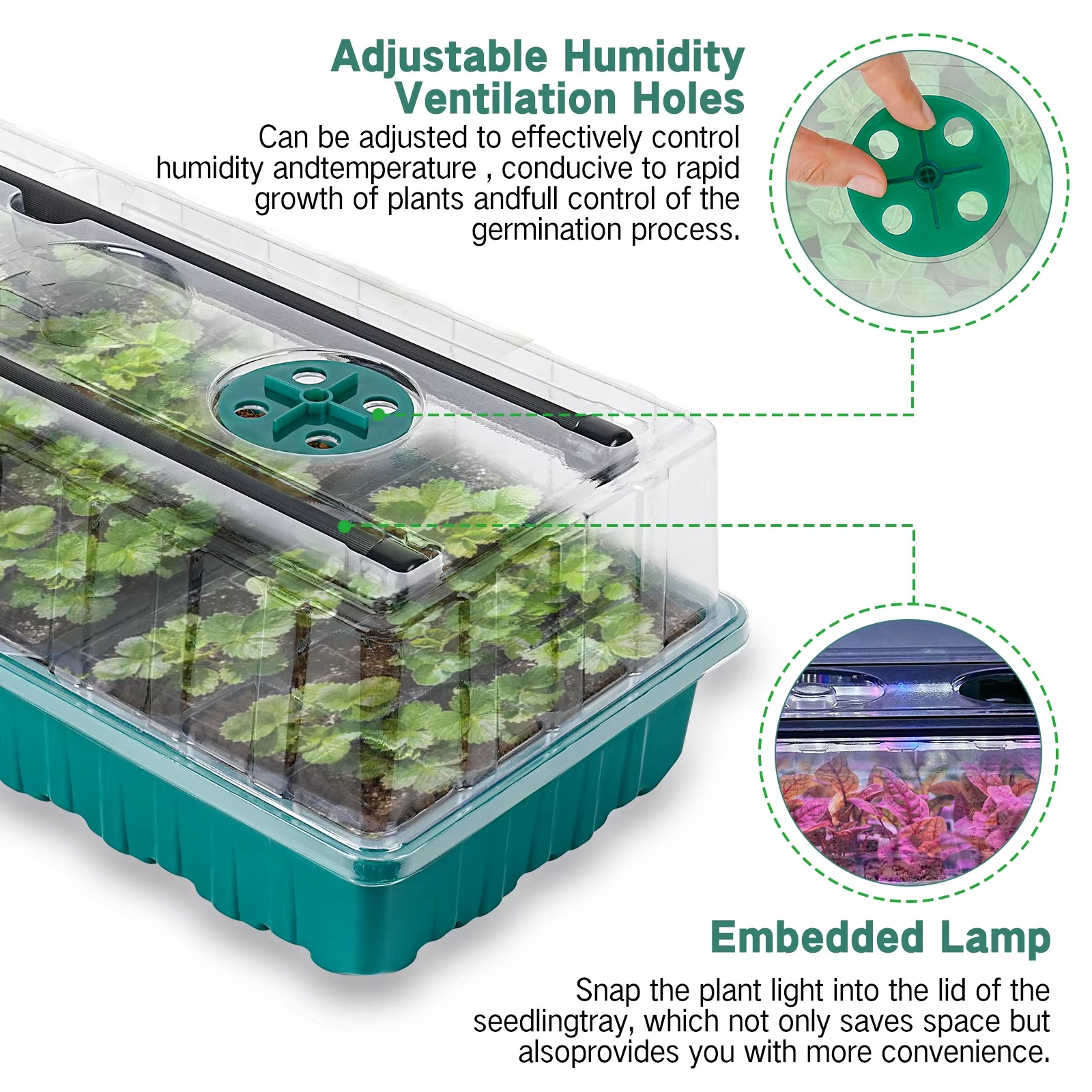Seed Starter Trays with Grow Light 2025