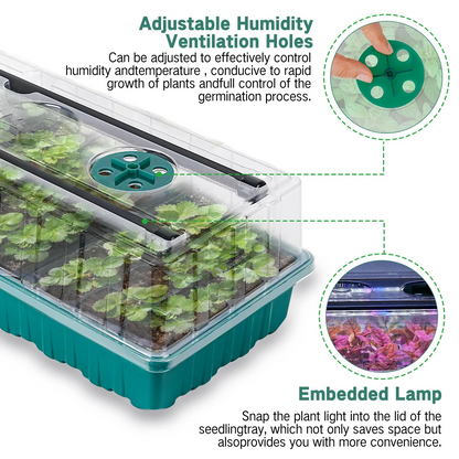 Seed Starter Trays with Grow Light 2025