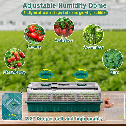 Seed Starter Trays with Grow Light 2025