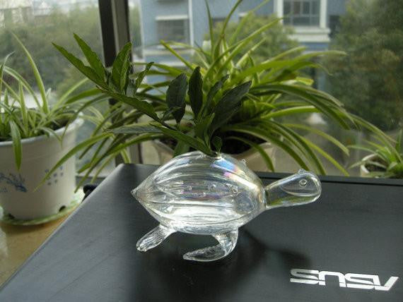 handmade sea turtle vase - WikiWii