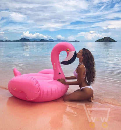 High Quality Inflatable Flamingo-Swan-Unicorn- Pool Float - WikiWii