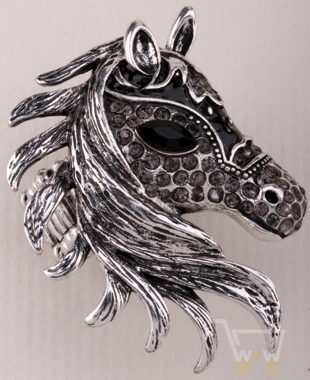 Horse ring - WikiWii