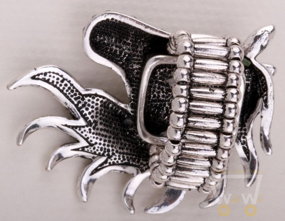 Horse ring - WikiWii