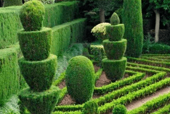 GARDCUT® - Cut, graft and care for your garden easily! - WikiWii