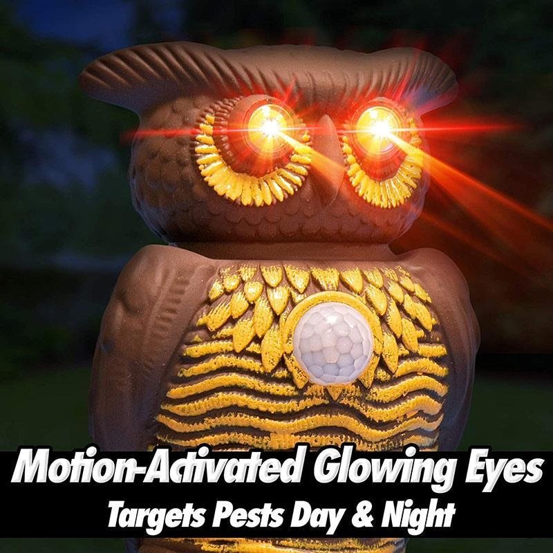 Owl Garden Protection - YOYOWIZZ