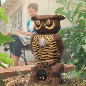 Owl Garden Protection - YOYOWIZZ