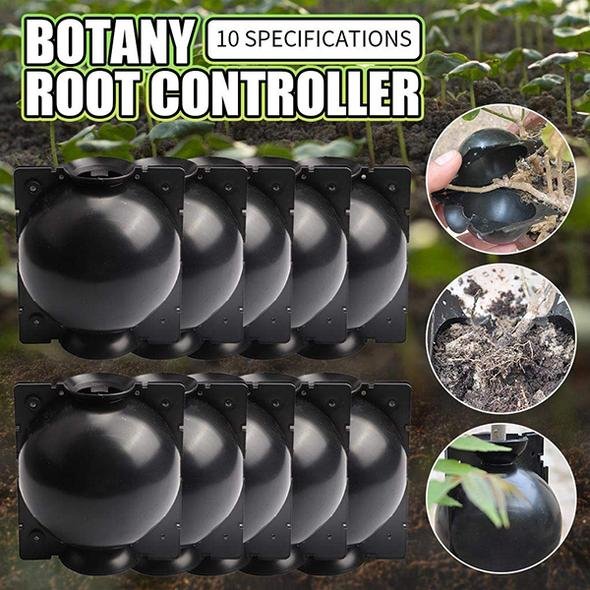 Root Growing Box - 50% OFF OnlyToday - YOYOWIZZ