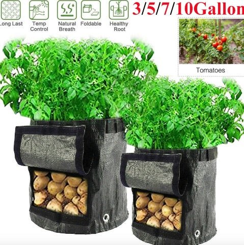 Vegetable Planter Bag - YOYOWIZZ