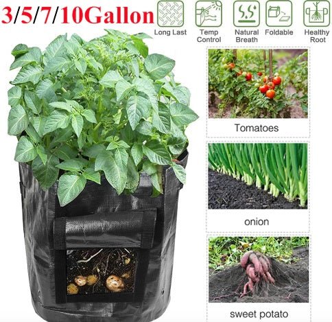 Vegetable Planter Bag - YOYOWIZZ